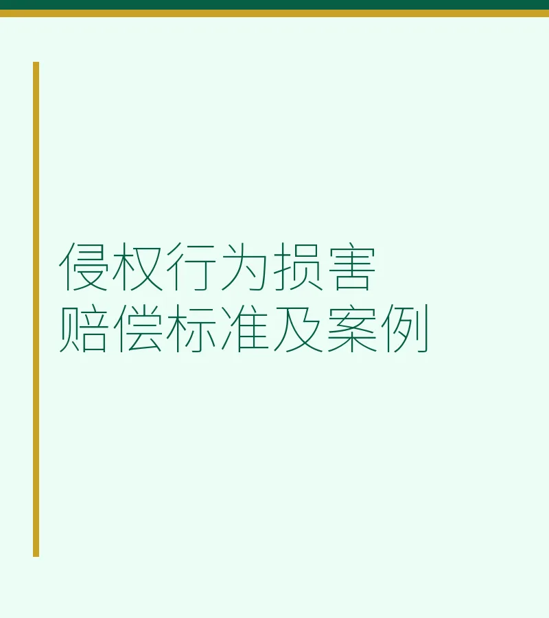 侵权行为损害赔偿标准及案例