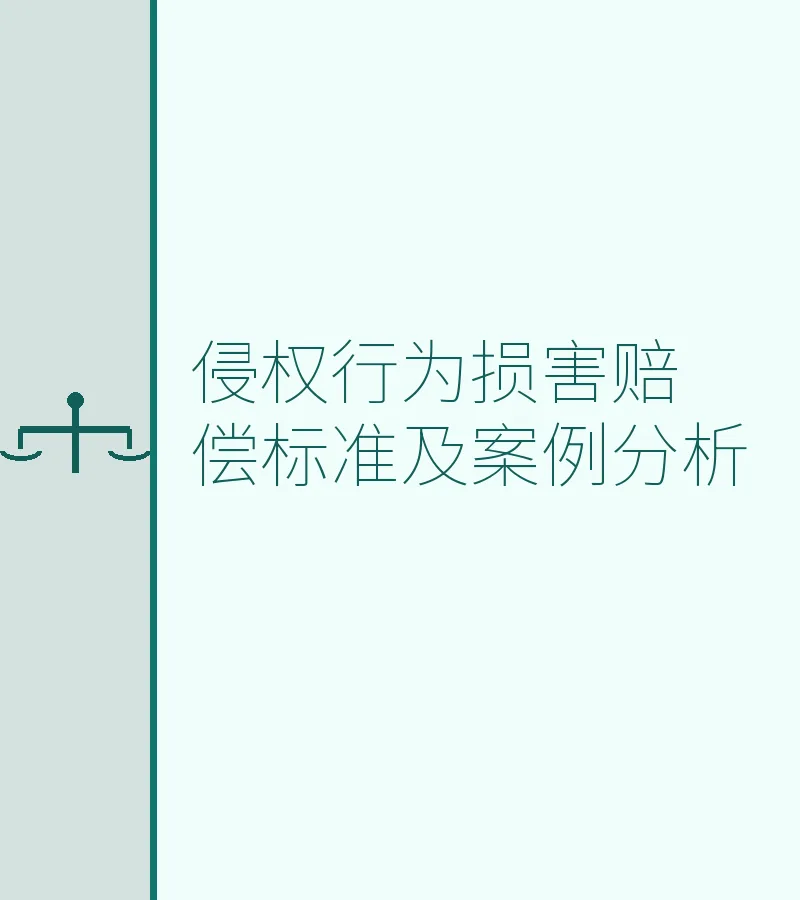 侵权行为损害赔偿标准及案例分析