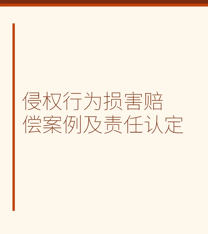 侵权行为损害赔偿案例及责任认定