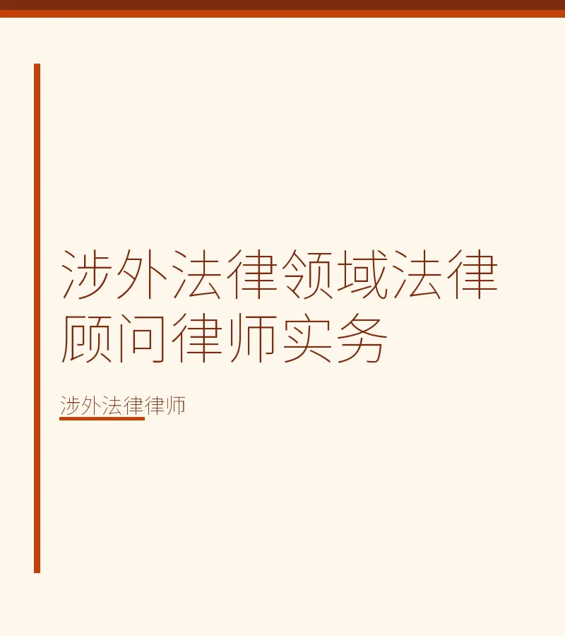涉外法律领域法律顾问律师实务